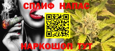 ECSTASY Гагарин