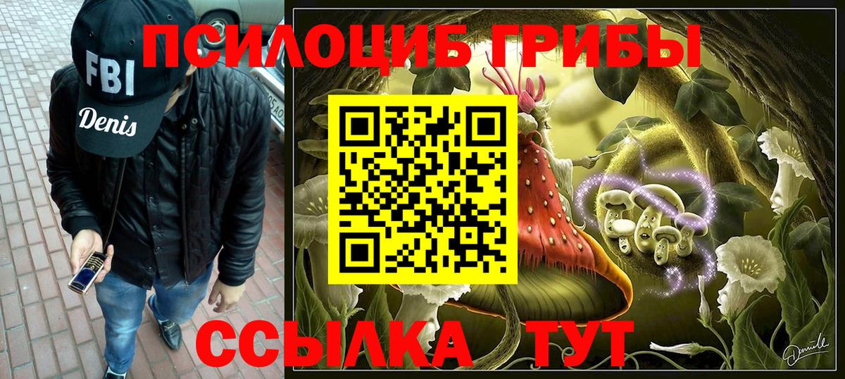 Галлюциногенные грибы Psilocybe Михайловск
